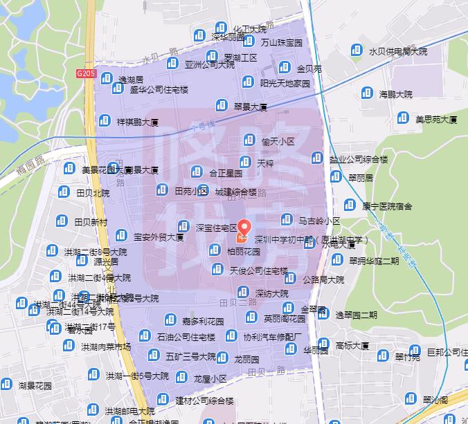 深中学位小户型房,深中学位房