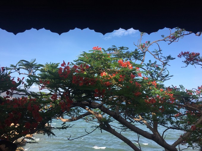 一个人越南攻略,一个人越南自驾游纪录片