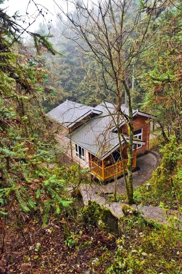 徒步四小时上山看雾凇,这个元旦去哪看雪