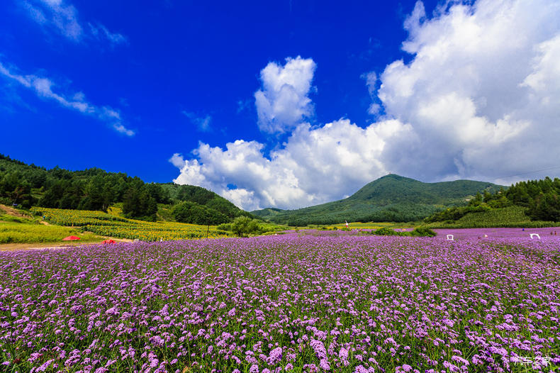 家乡之美美篇,家乡之美原唱完整版