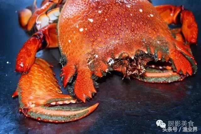 中国的螃蟹,螃蟹大赏的图片