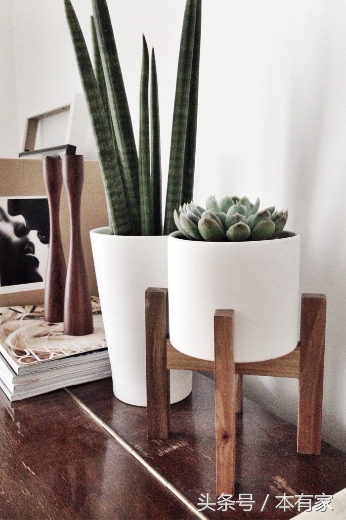 居家必备小妙招学会家里焕然一新,最省钱最实用的家居小妙招