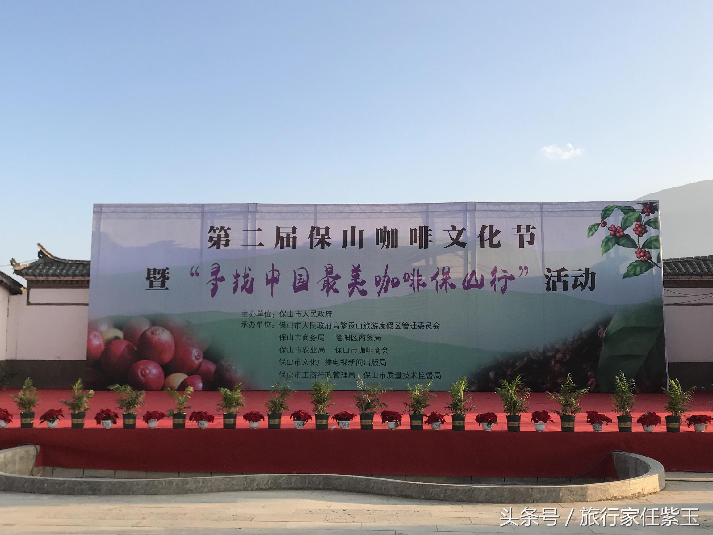 猫屎咖啡和普通咖啡有什么区别呢,猫屎咖啡和云南小粒咖啡哪个好