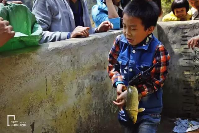 元旦最适合旅行的地方,元旦带家人去哪里玩好