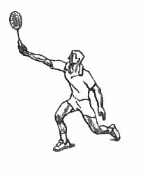 羽毛球课堂：世上最全羽毛球运动教程！