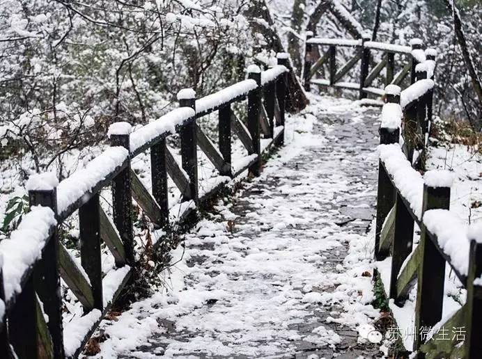 快看！苏州要在全球出名了！竟然与纽约、伦敦、东京、巴黎同上一个榜单...