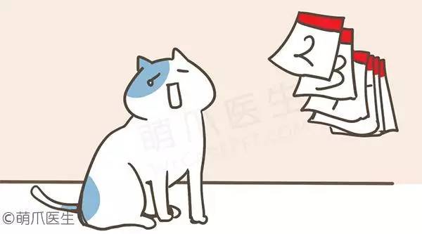 怎样让猫咪快速生宝宝,怎样有助于猫咪生孩子