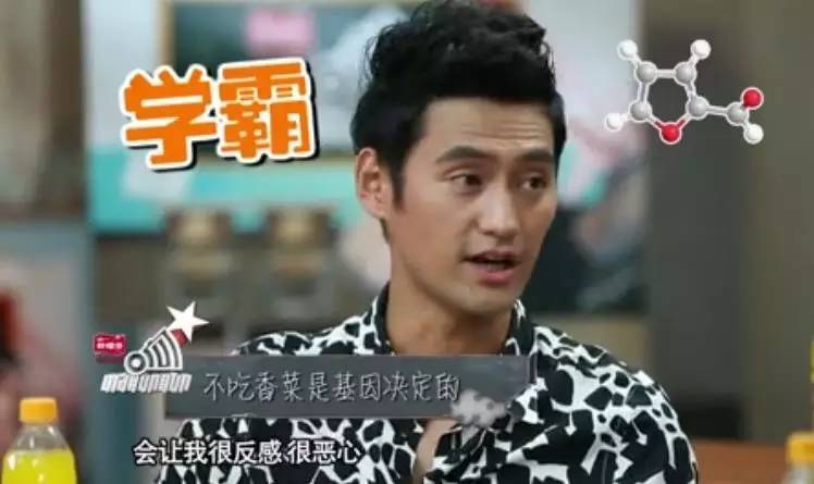 朴海镇宋茜,宋茜王鹤棣孙天宇玩梗综艺