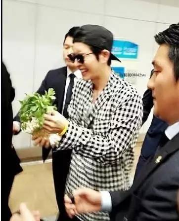 朴海镇宋茜,宋茜王鹤棣孙天宇玩梗综艺