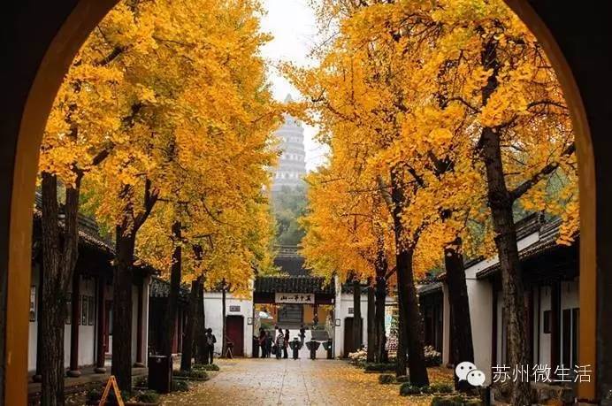 快看！苏州要在全球出名了！竟然与纽约、伦敦、东京、巴黎同上一个榜单...