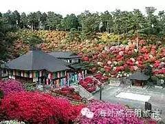 到日本东京玩一玩,去东京从哪里出发方便