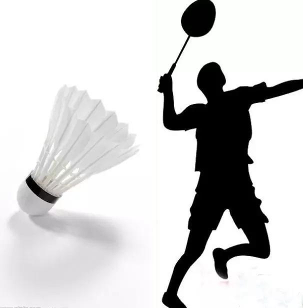 成为羽球高手的要点,都在这篇文章里·下