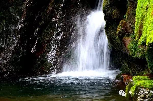 今年五一不出门宅在家里,五一不宅家悦游好时节