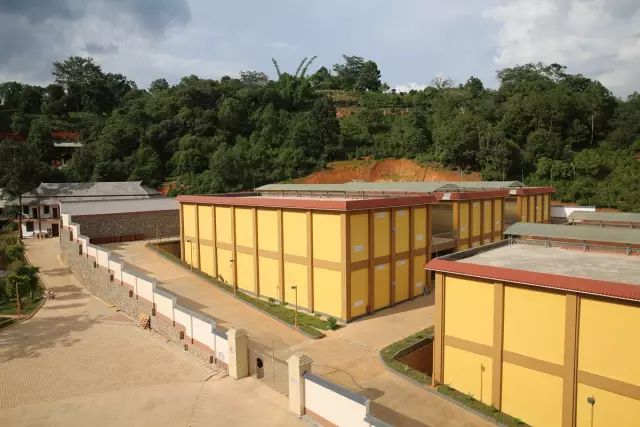 普洱茶熟茶后起之秀有哪些,普洱茶生茶和熟茶有什么功效区别