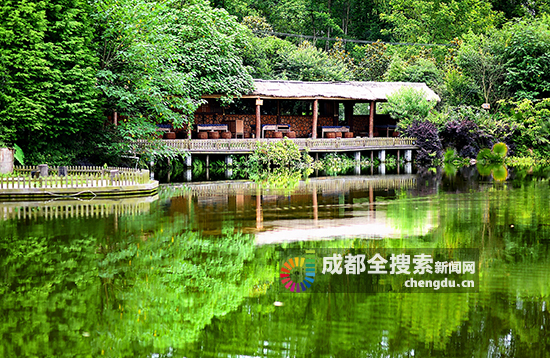 成都都江堰市达人探店,都江堰旅游达人