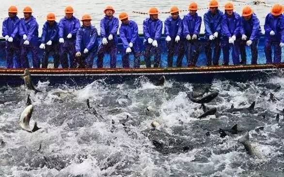 新一线城市名单杭州,2020新一线城市名单杭州