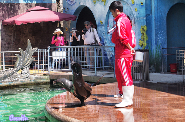 中南百草动物园,中南百草园萌宠乐园