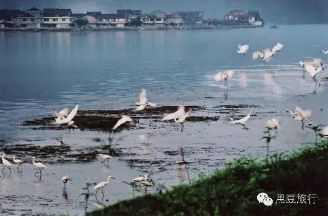 今年五一不出门宅在家里,五一不宅家悦游好时节