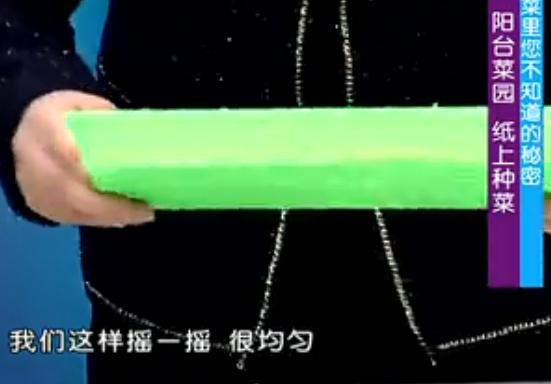 纸上种菜可以种向日葵吗,种菜小窍门两张纸就搞定