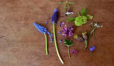 用鸡蛋壳这样养花1年不用施肥,鸡蛋壳别再扔了这样做比肉还好吃