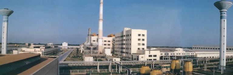 安阳白酒十大名牌,安阳县有哪些特色品牌