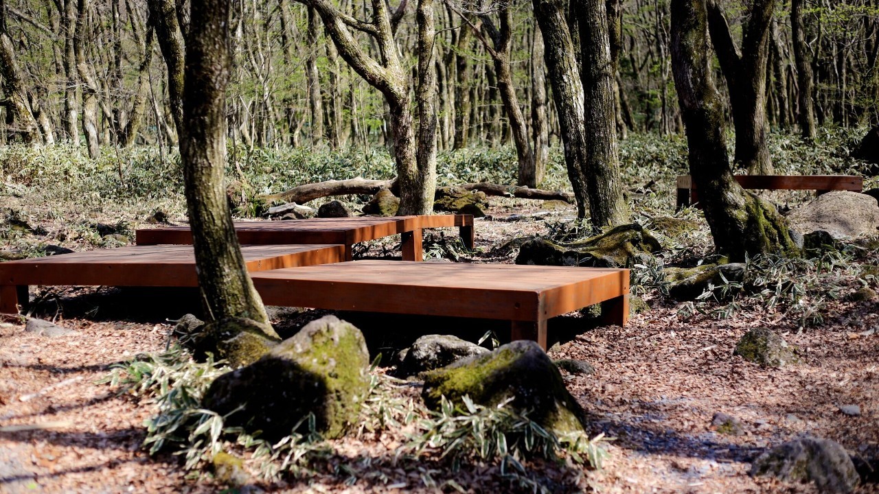 全过程记录,揭秘廉价济州岛跟团游背后的真相