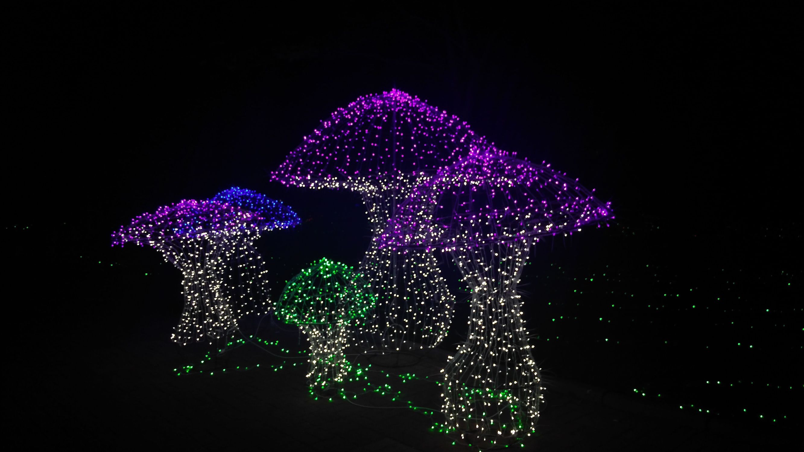 亿万星光点亮世纪欢乐园“奇幻之夜”光影盛宴