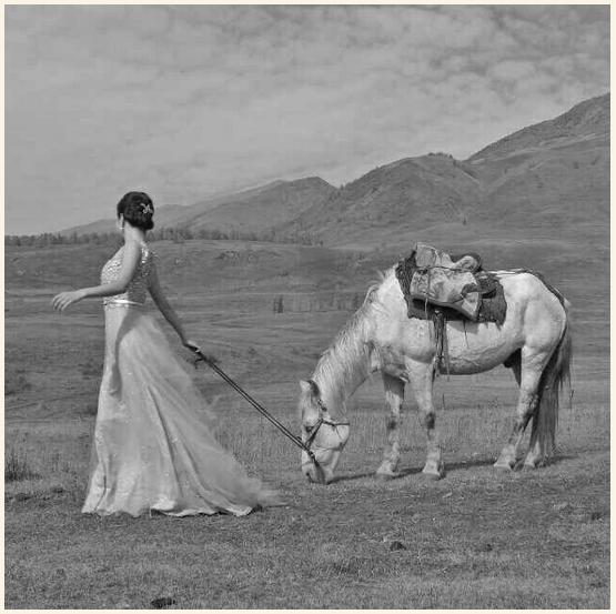 西行奇遇记完整视频,西行奇遇记