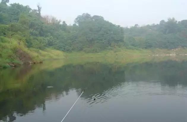 最新重庆周边钓鱼地点推荐,重庆免费钓鱼的最佳地点