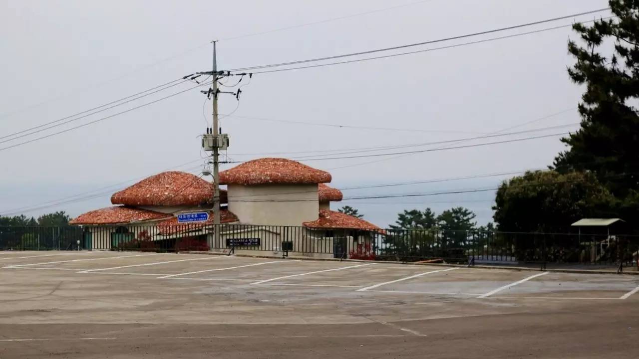 全过程记录,揭秘廉价济州岛跟团游背后的真相