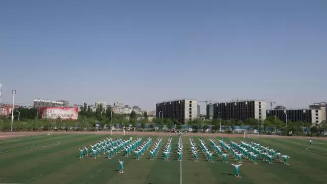 贺兰团委,贺兰团建