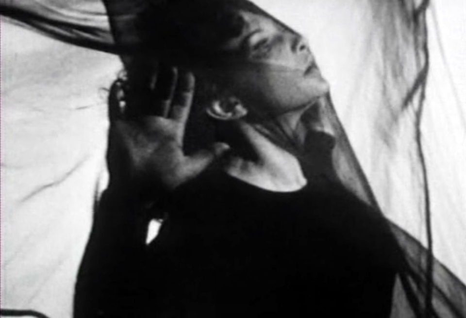 豆瓣年度日历,豆瓣日记2017