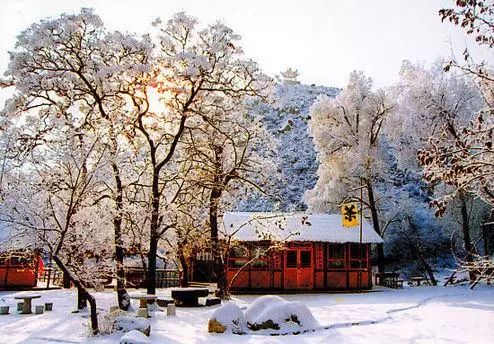 瀹佸绗竴缇庡コ鐓х墖,涓浗瀹佸绗竴缇庝汉