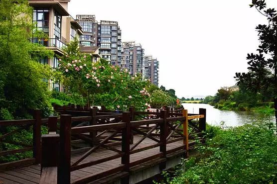 关注｜最美小区、最美物业人，有你熟悉的吗？