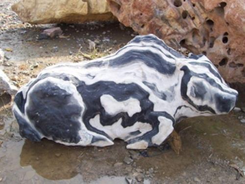 这才是真正的奇石,真正的奇石都是什么样子的