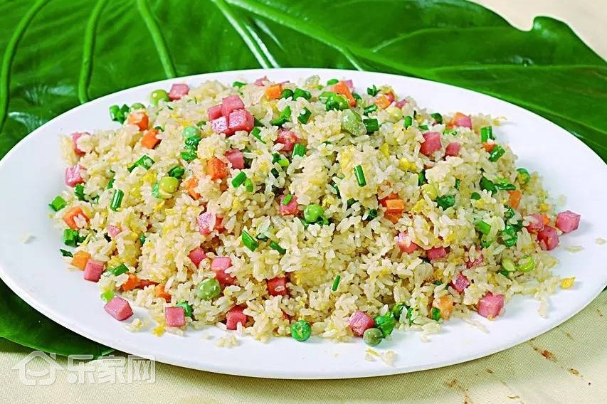 不可思议的冰箱,冰箱真的能养鱼吗