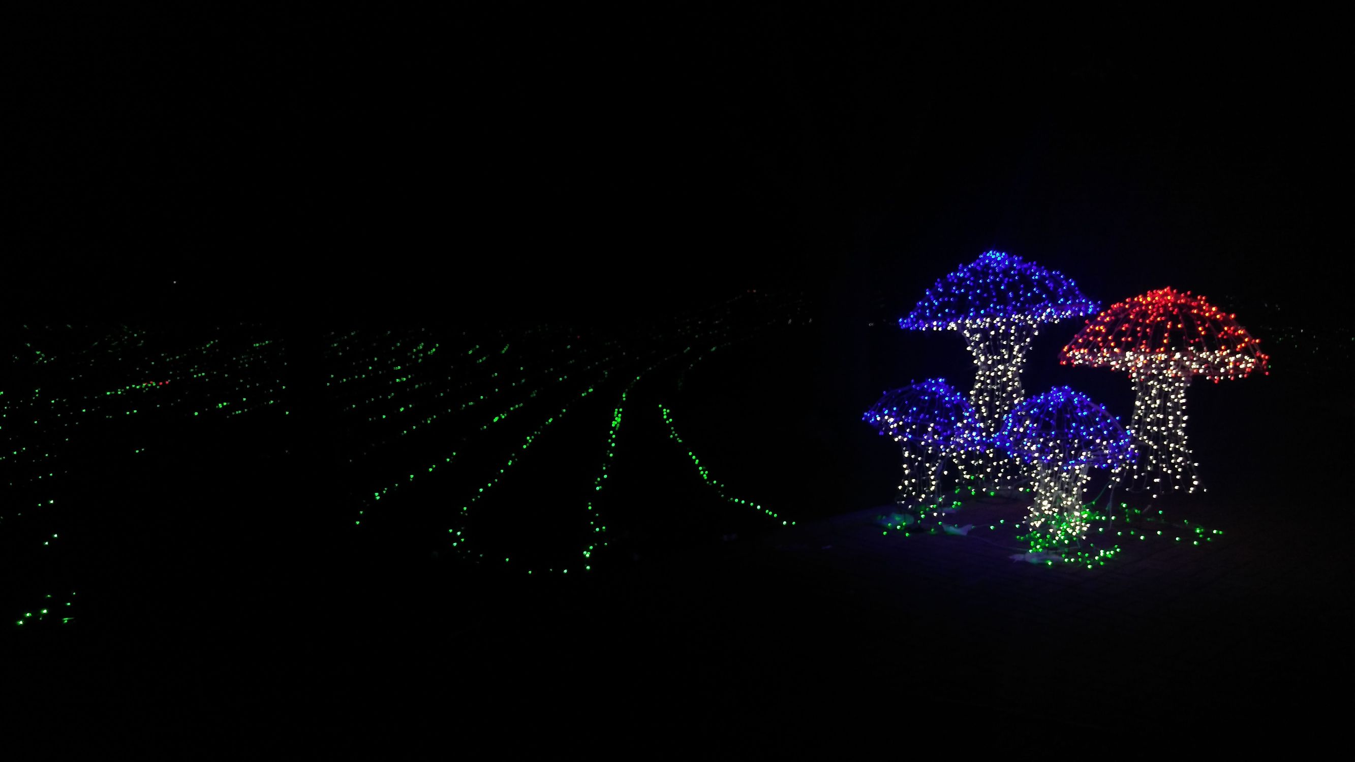 亿万星光点亮世纪欢乐园“奇幻之夜”光影盛宴