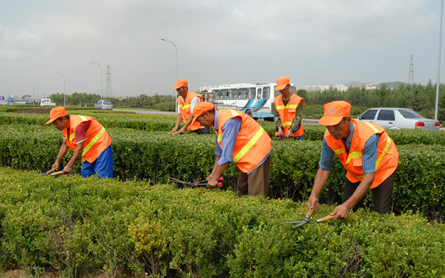 交通路网提升新韧性,道路交通设施提升