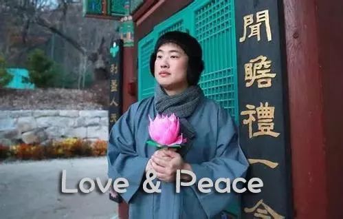 海盗团帮助路飞,海盗帮