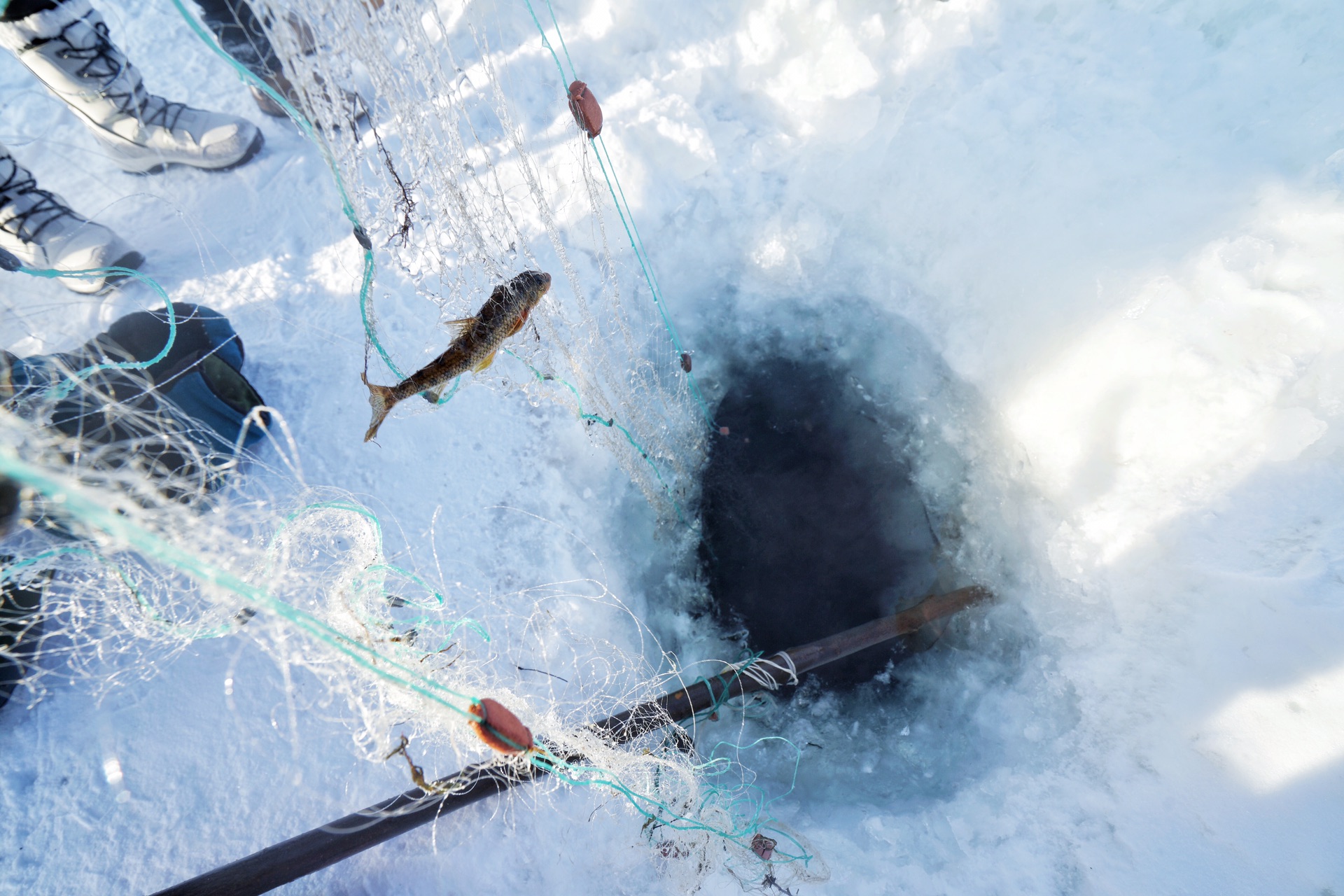漠河寻北之旅邂逅冰雪奇缘,漠河冰雪深度游