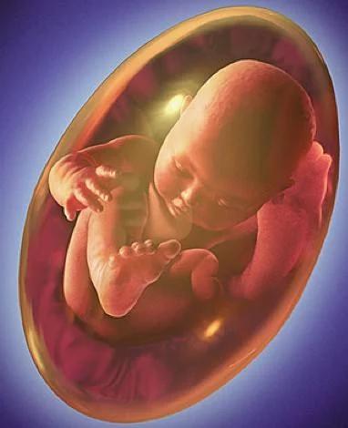 怀孕33周胎儿绕颈两周怎么纠正,33周脐带绕颈2圈羊水少能不能跳