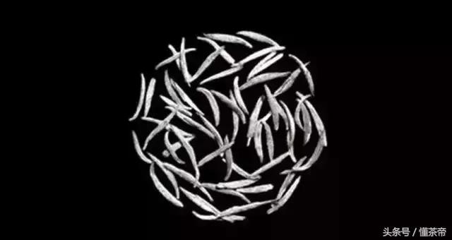 买不起香奈儿,但我喝得起啊!