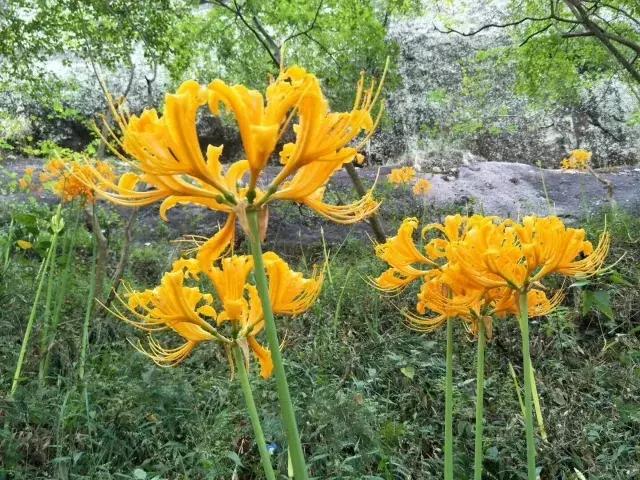 去玩有必要做攻略吗,去玩是逃避问题吗