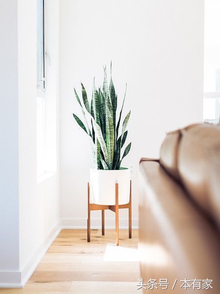 居家必备小妙招学会家里焕然一新,最省钱最实用的家居小妙招