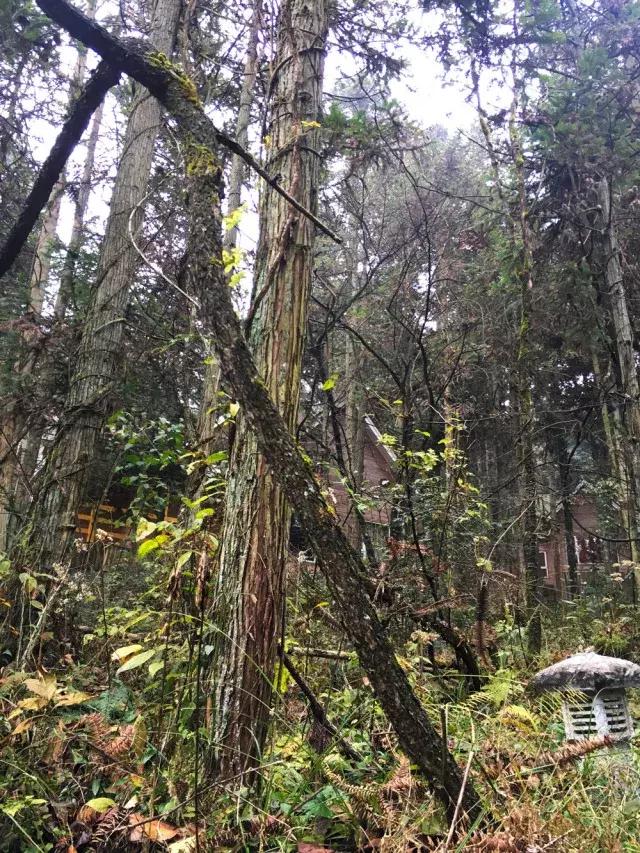 彭水摩围山旅游攻略,彭水摩围山风景区演出活动