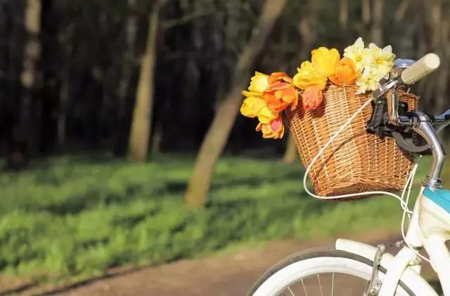 彭水摩围山旅游攻略,彭水摩围山风景区演出活动