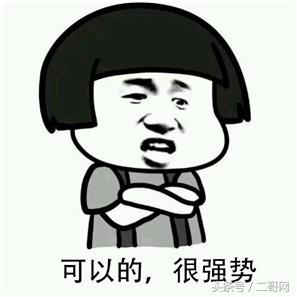 悄悄告诉你养护君子兰有个小秘密,如何养出昂贵的君子兰