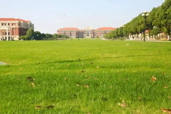 神一样的学校高考和中考都很惊艳,神一样的学校