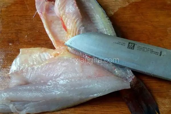 罗非鱼剔鱼骨切鱼片技巧,如何去鱼骨切鱼片视频