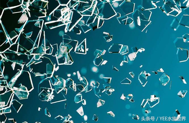 水族箱种类及优缺点,水族箱有几种品牌